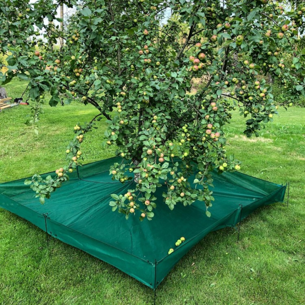 Harvesting nets for fruit trees in the group House & Home / Garden at SmartaSaker.se (13970)