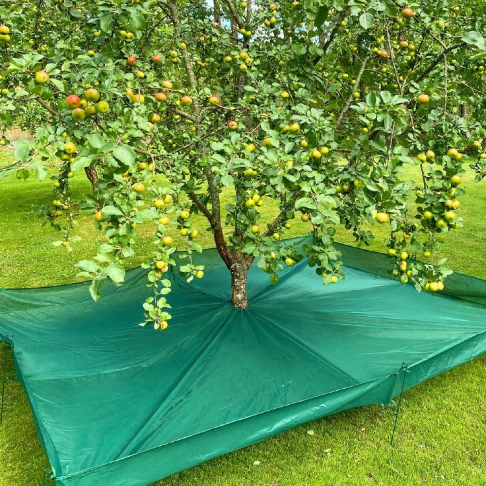 Harvesting nets for fruit trees in the group House & Home / Garden at SmartaSaker.se (13970)