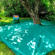 Harvesting nets for fruit trees