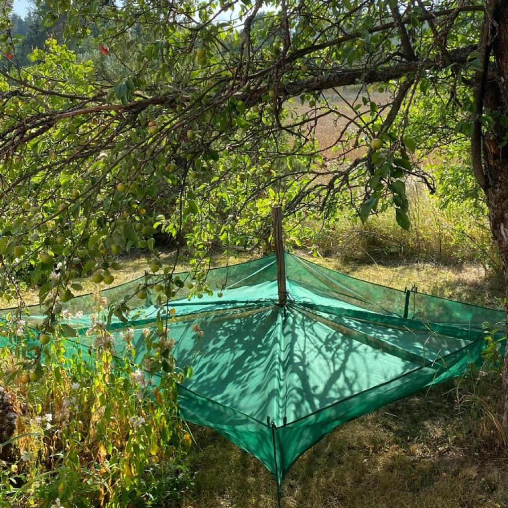 Harvesting nets for fruit trees in the group House & Home / Garden at SmartaSaker.se (13970)