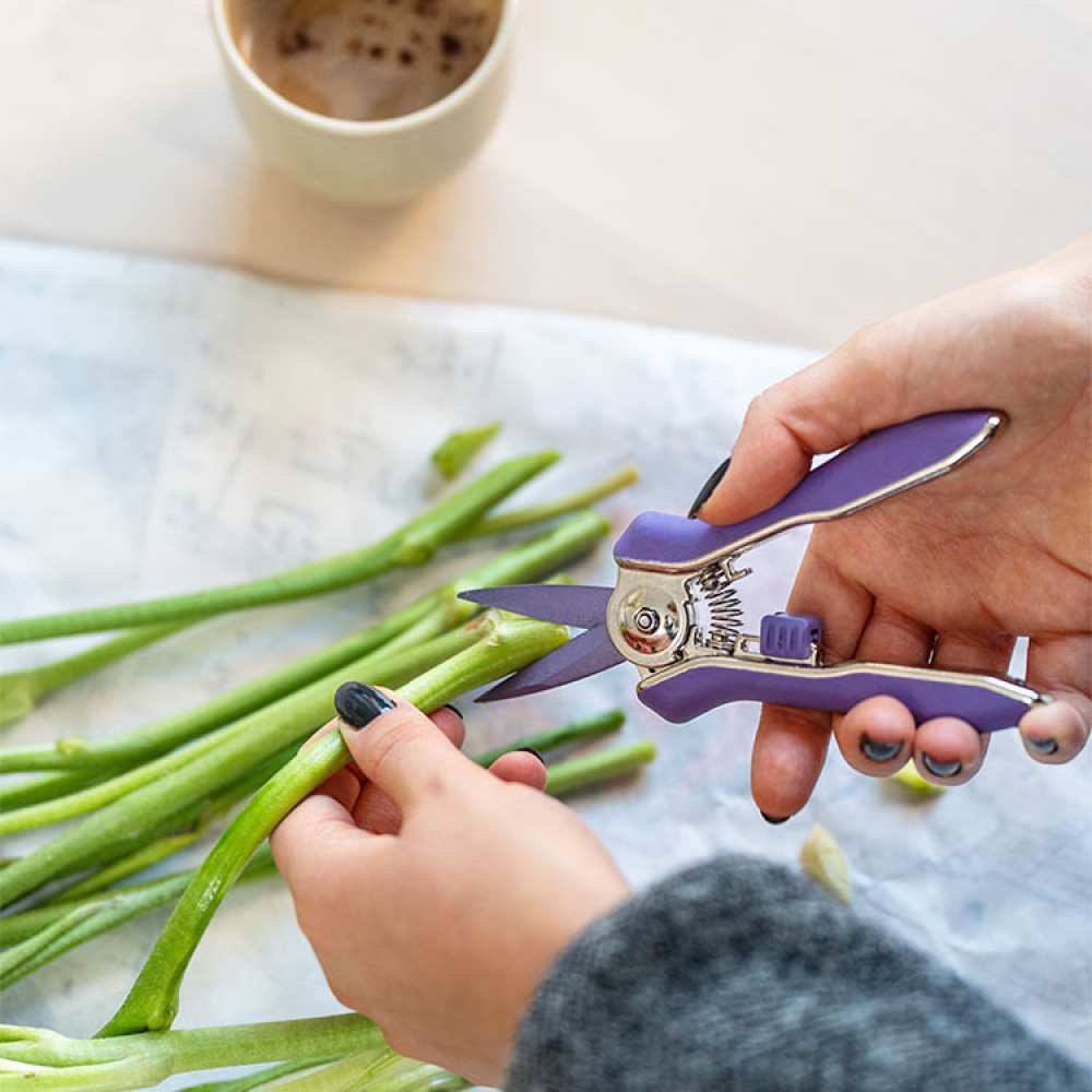 Floral shears in the group House & Home / Garden / Cultivation at SmartaSaker.se (13974)