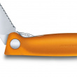 Folding picnic knife with serrated blade
