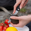 Foldable picnic knife