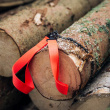Pocket Chainsaw Pocket Chainsaw
