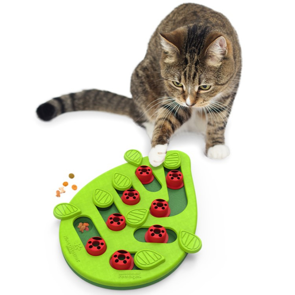 Activity toy for the cat in the group Leisure / Pets / Cat stuff at SmartaSaker.se (14003)