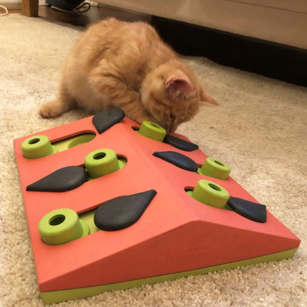 Activity toy for the cat in the group Leisure / Pets / Cat stuff at SmartaSaker.se (14003)