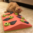 Activity toy for the cat