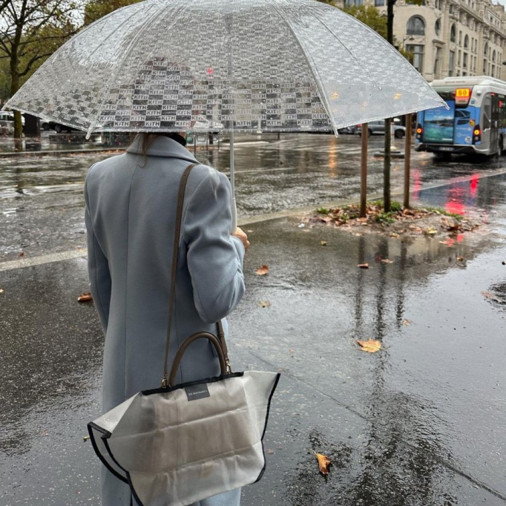 Rain cover for handbag in the group Leisure / Bags at SmartaSaker.se (14028)