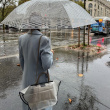 Rain cover for handbag Rain cover for handbag