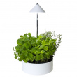 Herb pot with plant lamp