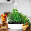 Herb pot with plant lamp