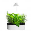 Herb pot with plant lamp
