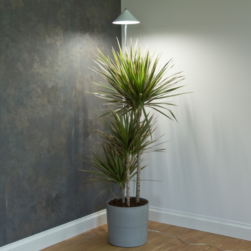 Plant lamp on spike XL 25W in the group House & Home / Garden at SmartaSaker.se (14099)