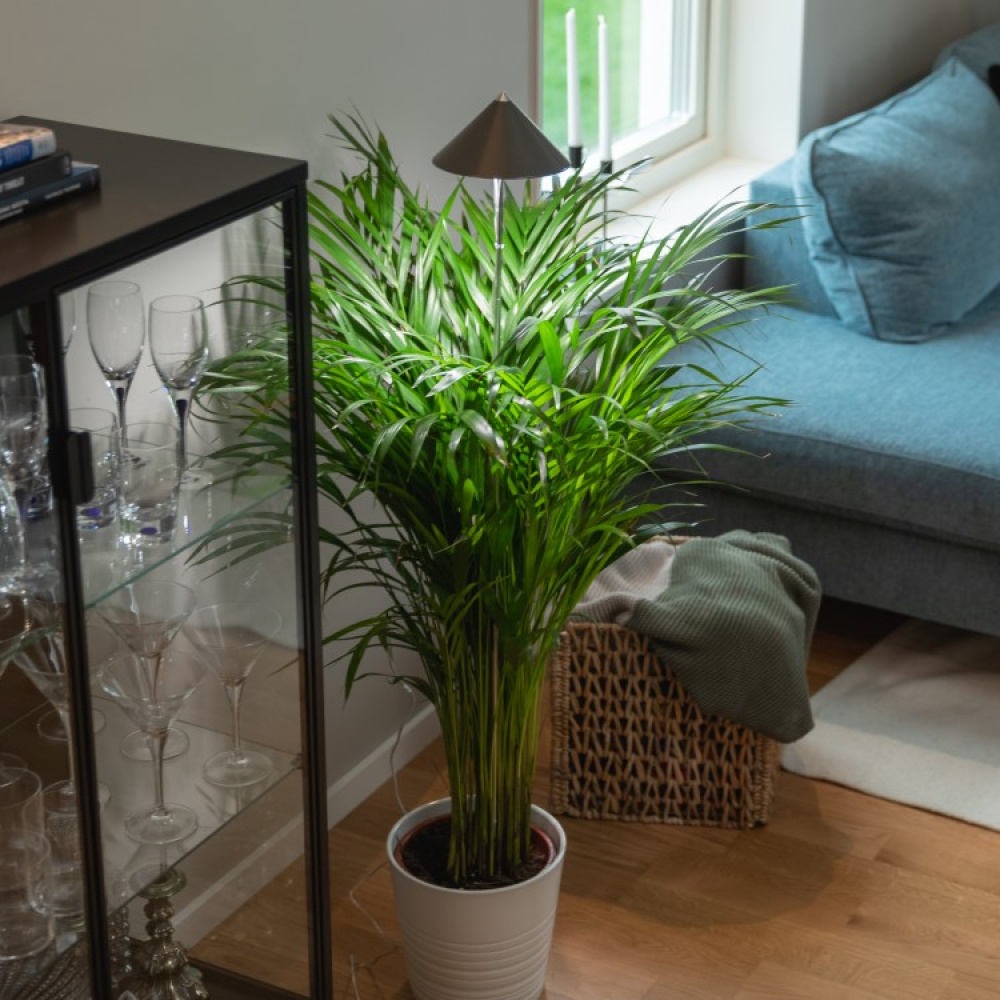 Plant lamp on spike XL 25W in the group House & Home / Garden at SmartaSaker.se (14099)
