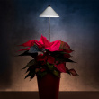 Plant lamp on spike 7W Plant lamp on spike 7W