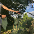 Gardening net umbrella Gardening net umbrella