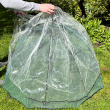 Plastic cover for net umbrella
