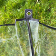 Plastic cover for net umbrella
