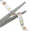 Lighting strip with motion sensor Lighting strip with motion sensor