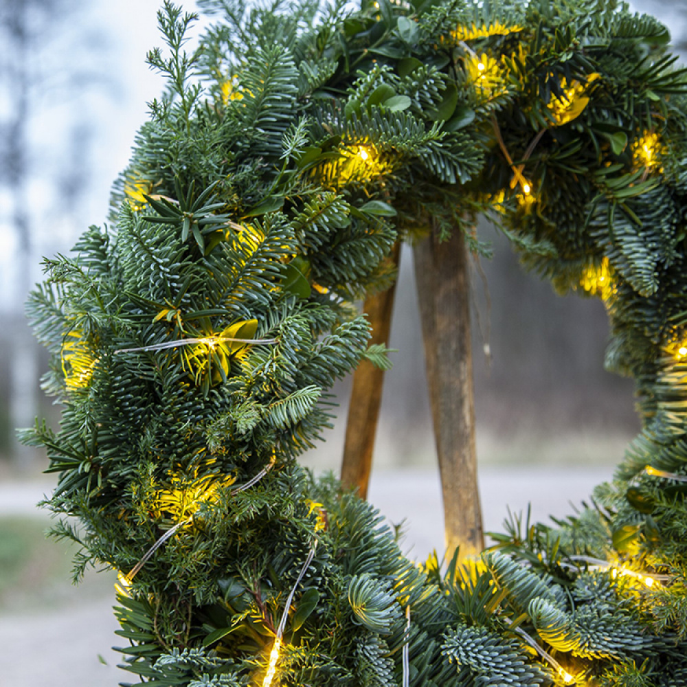 Transparent Fairy Lights Indoor and Outdoor in the group Lighting at SmartaSaker.se (14121)