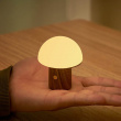 Rechargeable Mushroom Lamp Rechargeable Mushroom Lamp