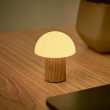 Rechargeable Mushroom Lamp Rechargeable Mushroom Lamp