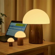 Rechargeable Mushroom Lamp Rechargeable Mushroom Lamp