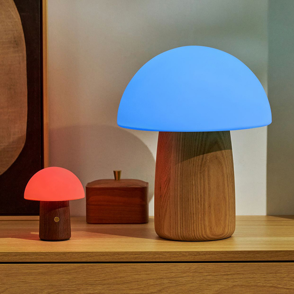 Rechargeable Mushroom Lamp in the group Lighting / Indoor lighting / Indoor decorative lighting at SmartaSaker.se (14141)