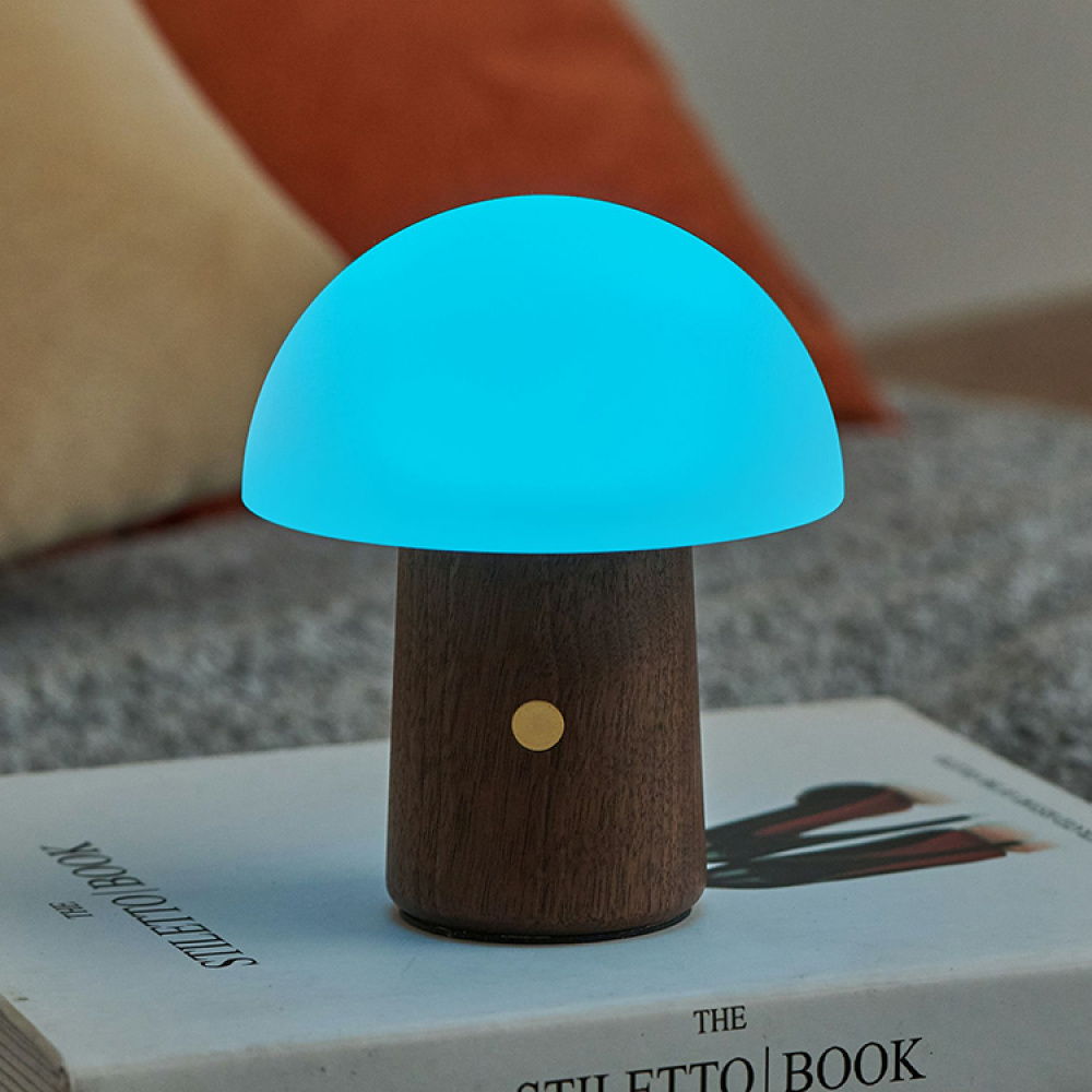 Rechargeable Mushroom Lamp in the group Lighting / Indoor lighting / Indoor decorative lighting at SmartaSaker.se (14141)