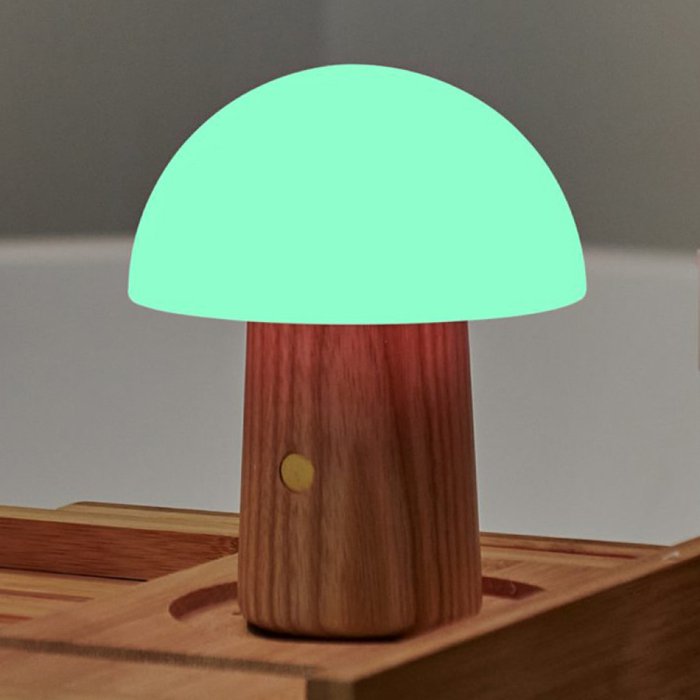 Rechargeable Mushroom Lamp in the group Lighting / Indoor lighting / Indoor decorative lighting at SmartaSaker.se (14141)