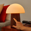 Rechargeable Mushroom Lamp Rechargeable Mushroom Lamp