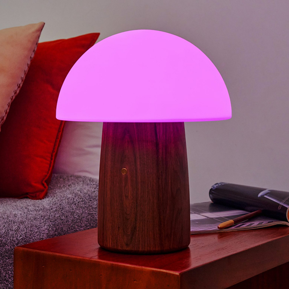 Rechargeable Mushroom Lamp in the group Lighting / Indoor lighting / Indoor decorative lighting at SmartaSaker.se (14141)