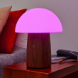 Rechargeable Mushroom Lamp Rechargeable Mushroom Lamp