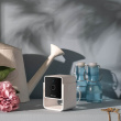 Pet camera, PetCube Pet camera, PetCube