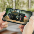 Pet camera, PetCube Pet camera, PetCube