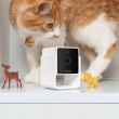 Pet camera, PetCube Pet camera, PetCube