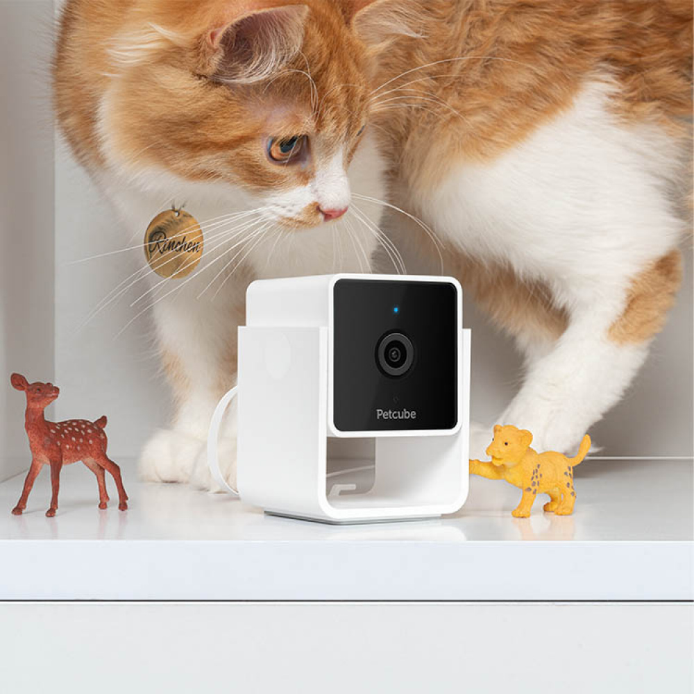 Pet camera, PetCube in the group Leisure / Pets at SmartaSaker.se (14160)