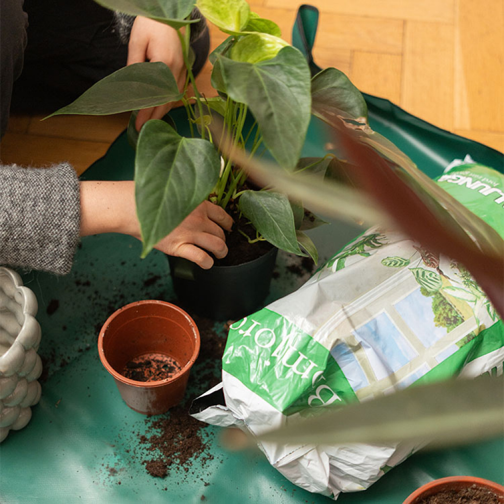 Indoor planting cloth in the group House & Home / Garden at SmartaSaker.se (14172)