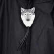 Reflective accessories with animal motifs Reflective accessories with animal motifs