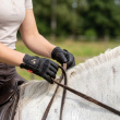 Riding gloves