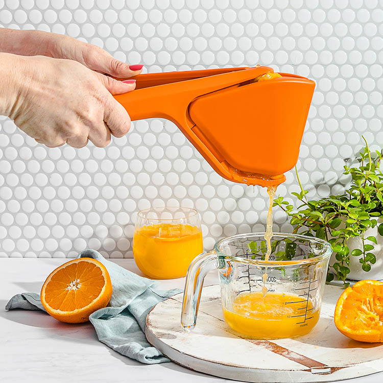 Citrus press