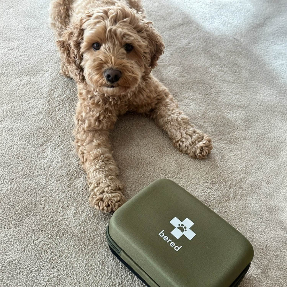 First aid kit for dogs and cats, Bered in the group Leisure / Pets at SmartaSaker.se (14359)
