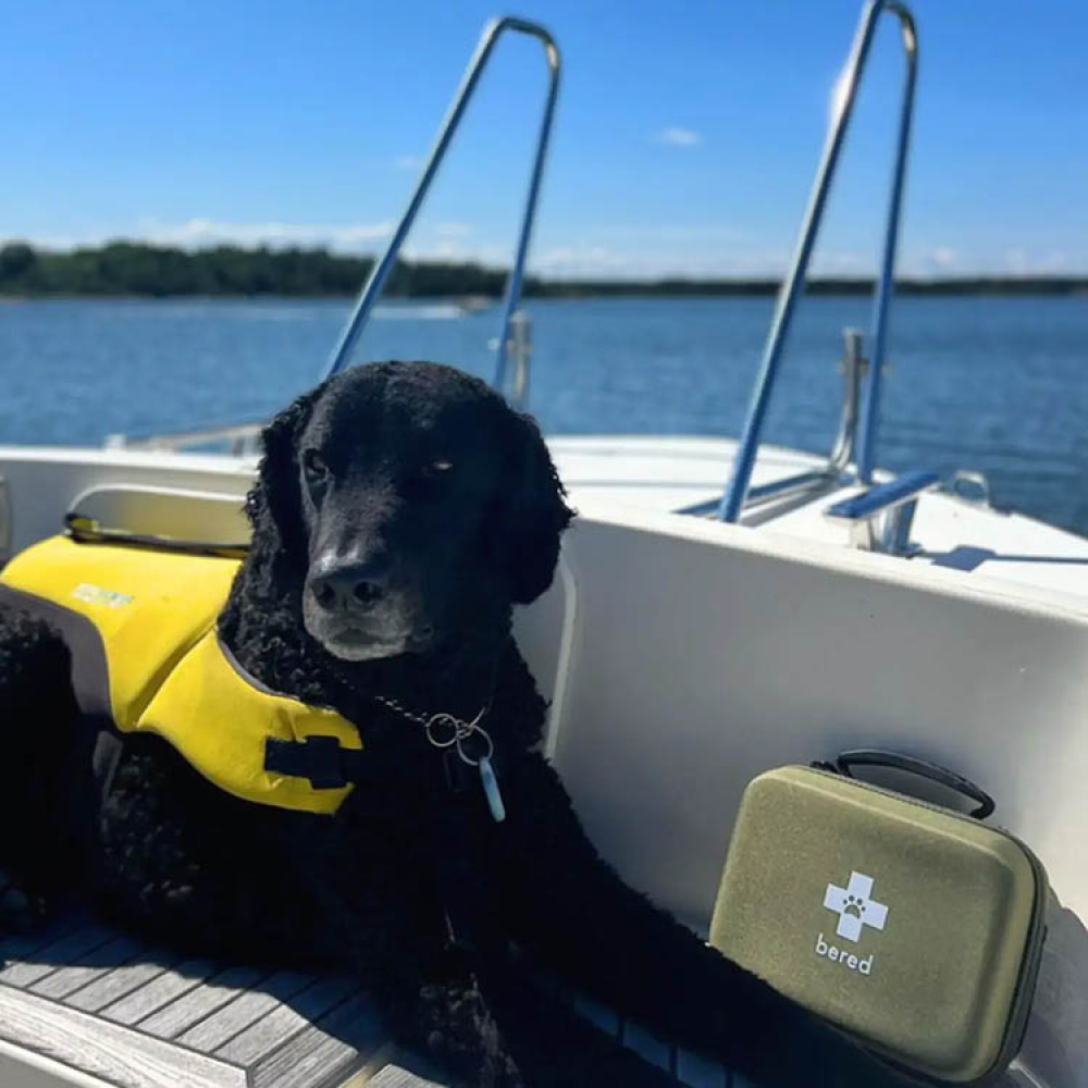 First aid kit for dogs and cats, Bered in the group Leisure / Pets at SmartaSaker.se (14359)