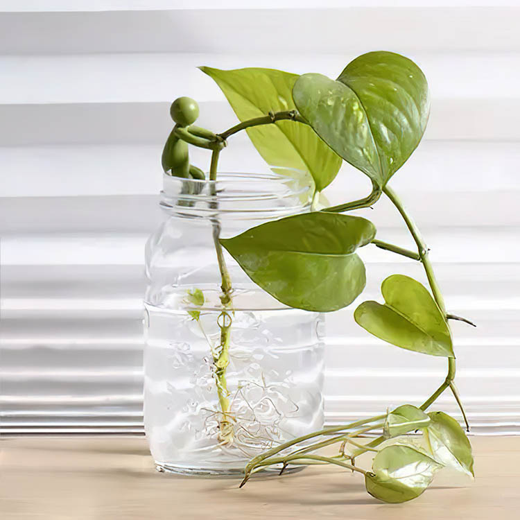 Plant support for cuttings 3-pack in the group House & Home / Garden at SmartaSaker.se (14433)