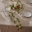 Battery operated light string with ivy Battery operated light string with ivy