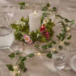 Battery operated light string with ivy Battery operated light string with ivy