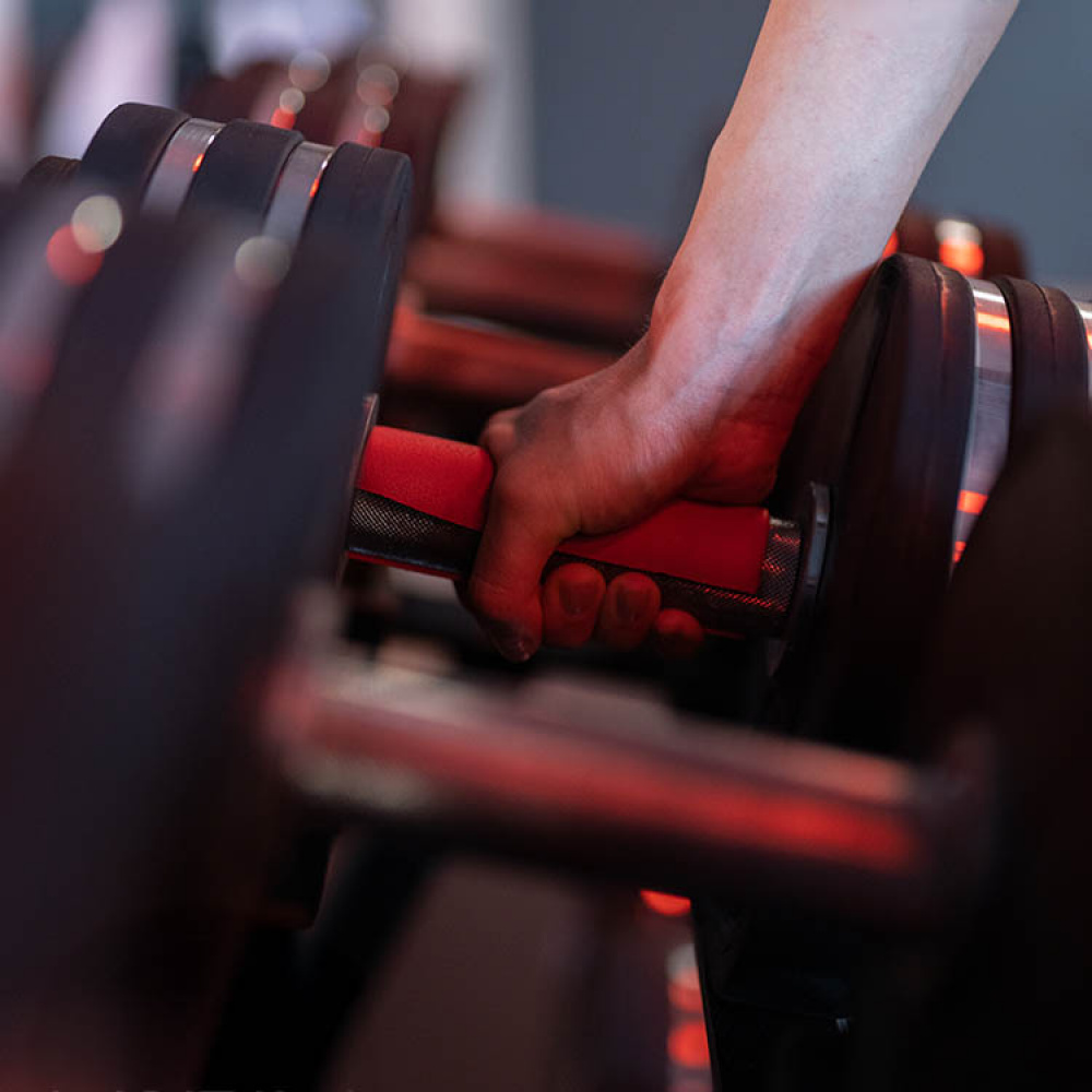 Grip handle for strength training, SmartGrepp in the group Leisure / Exercise at SmartaSaker.se (14568)