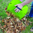 Leaf shovel 2-pack Leaf shovel 2-pack