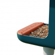 Bird feeder with camera, Birdbuddy