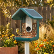 Bird feeder with camera, Birdbuddy